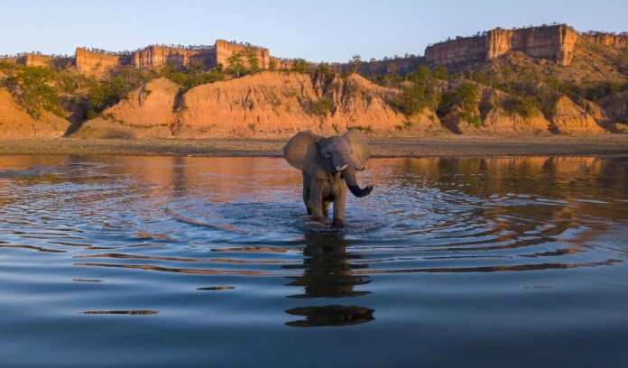 zimabué parque Gonarezhou 1ab DR fzs