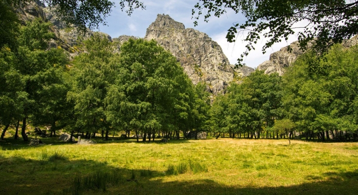 Covão-dAmetade-01ab DR