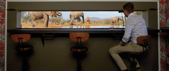 vida selvagem e um copo de gin DR 1ab