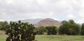 Créditos: Freddy-Castro