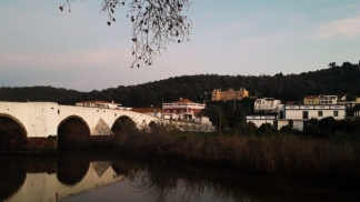 Um elogio à Dona Helena