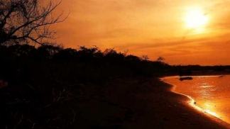 O país onde a fortuna cresce nas árvores