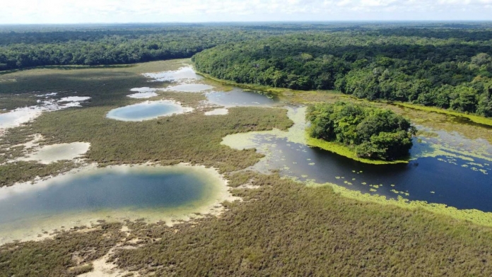 Guatemala floresta Alberto Pena AFP 1