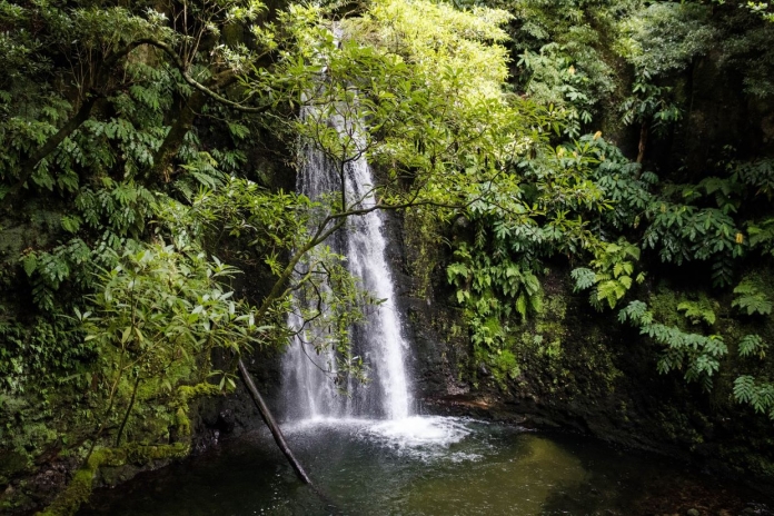 açores cascata 1 pixabay