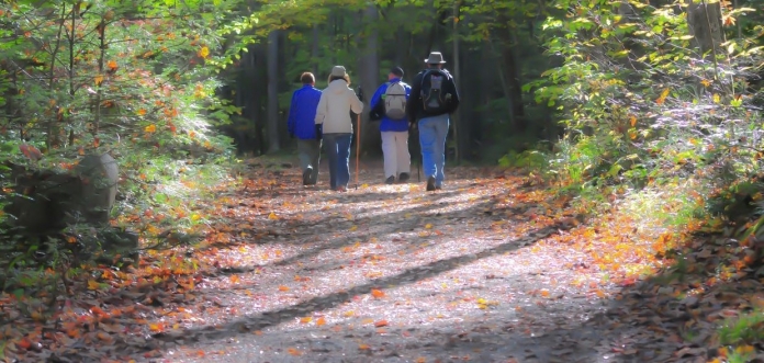 trilho pedestre geral 1 pixabay