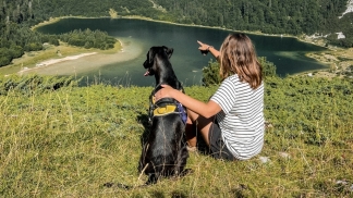 Viagens e bolas de pêlos