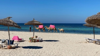 Do Porto a Djerba durante o verão inteiro