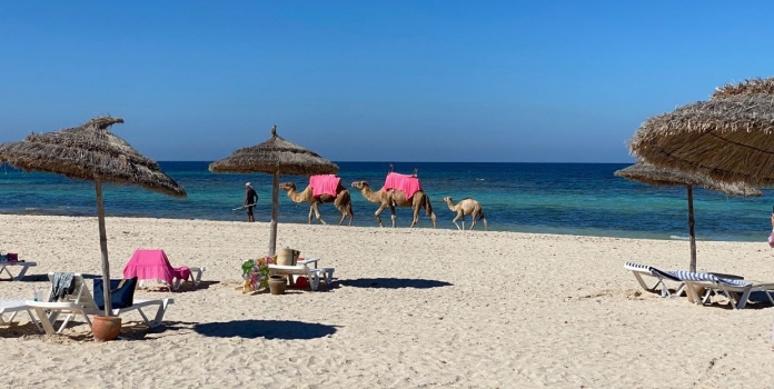tunísia djerba 2 DR