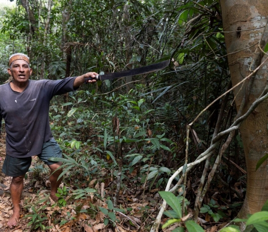 Volta ao Mundo de dezembro nas bancas