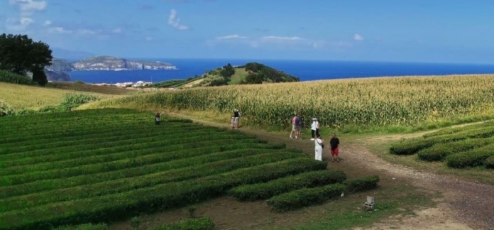 portugal açores gorreana são miguel 1 volta ao mundo