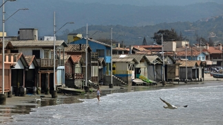 Sabe quantas oportunidades tem para ir até ao Brasil?