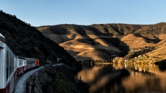 De comboio até às amendoeiras