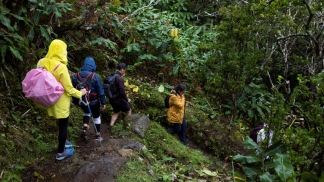 Gosta de caminhadas? Há novos trilhos para explorar nos Açores