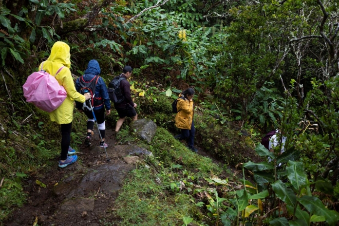 açores são jorge trilho Adelino Meireles Global Imagens